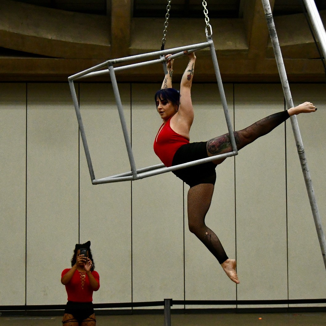 Hang Stretch