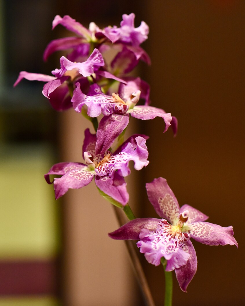 Facing Up Towards the Light