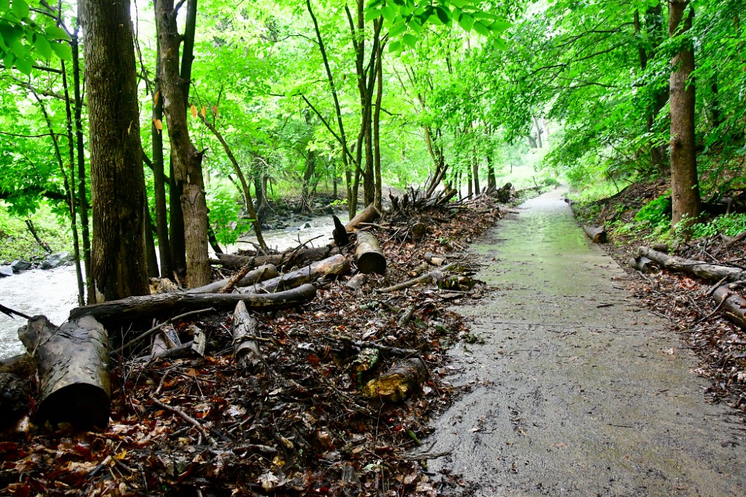 Muddy and Wet