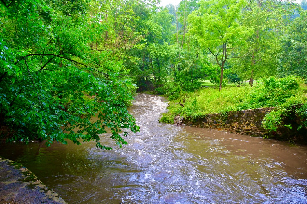 The Water Rushes