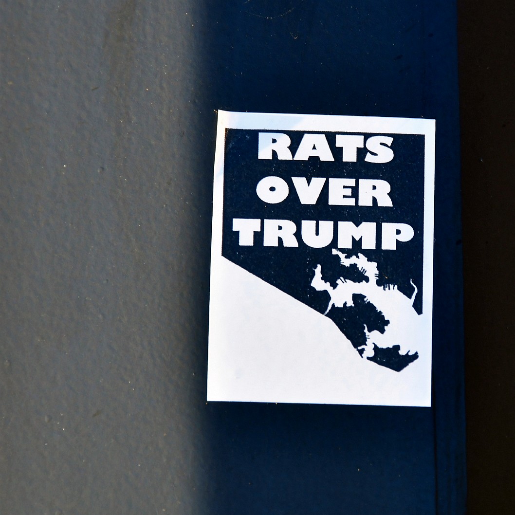 Rats Over Trump